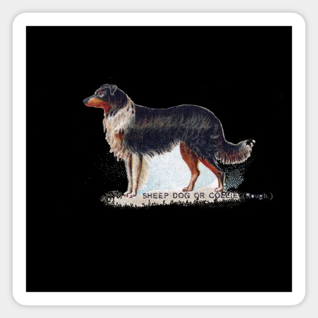 Sheep Dog or Collie Sticker by Museum Pop Art